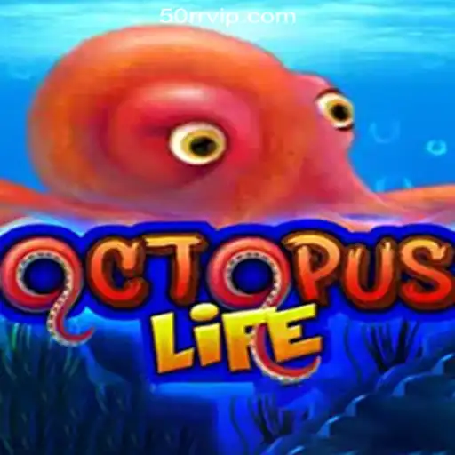 Explore the World of OctopusLife: A New Gaming Experience